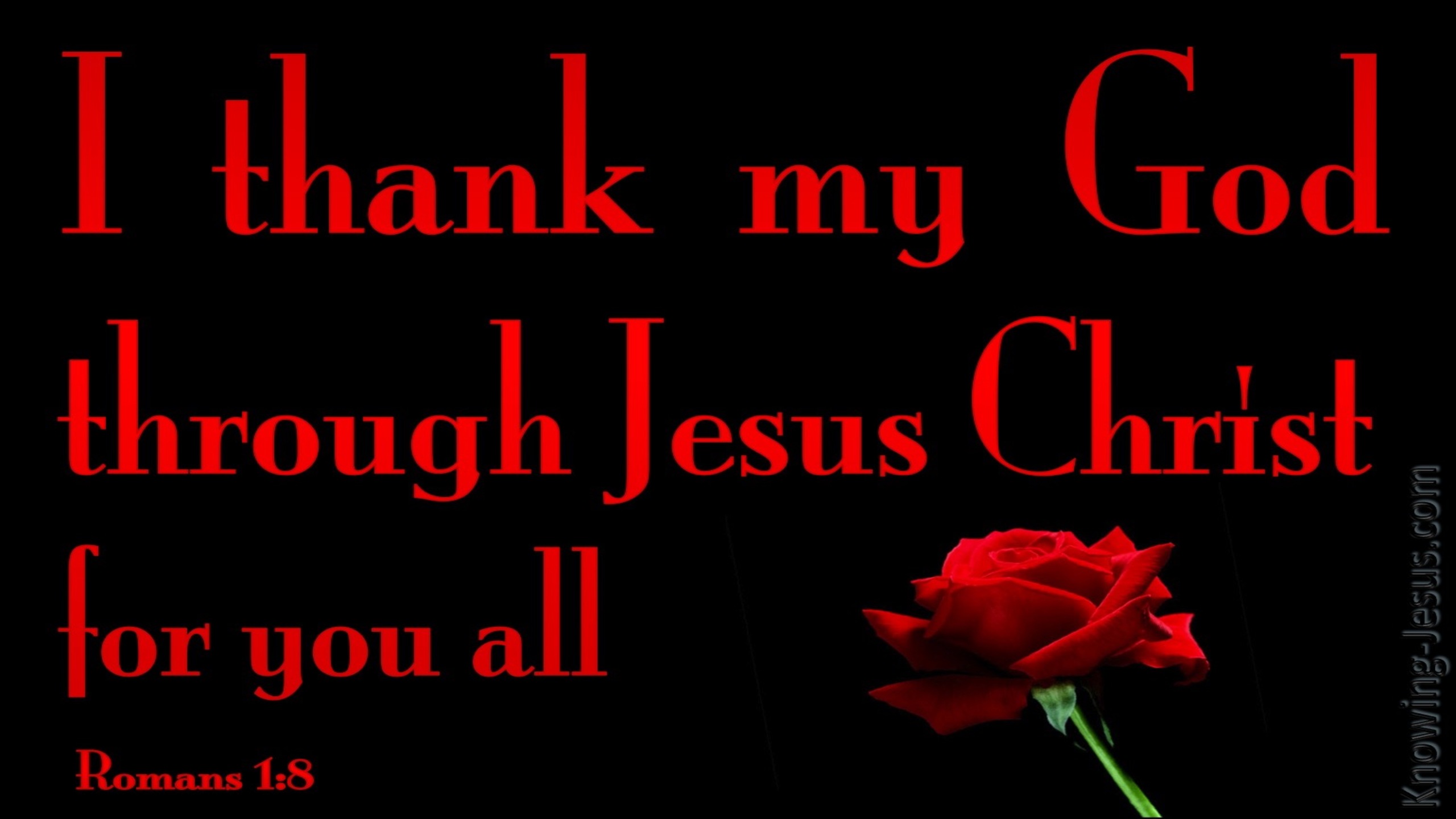 Romans 1:8 I Thank My God For You All (red)